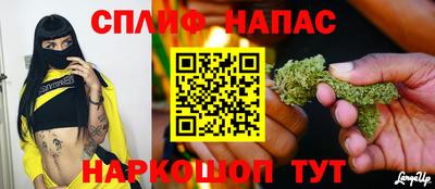 индика Новозыбков