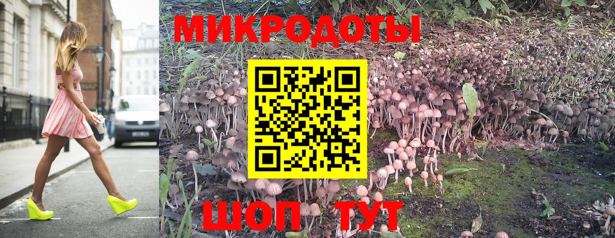 Галлюциногенные грибы мицелий  Вход с VPN  Севастополь  Галлюциногенные грибы прущие грибы 